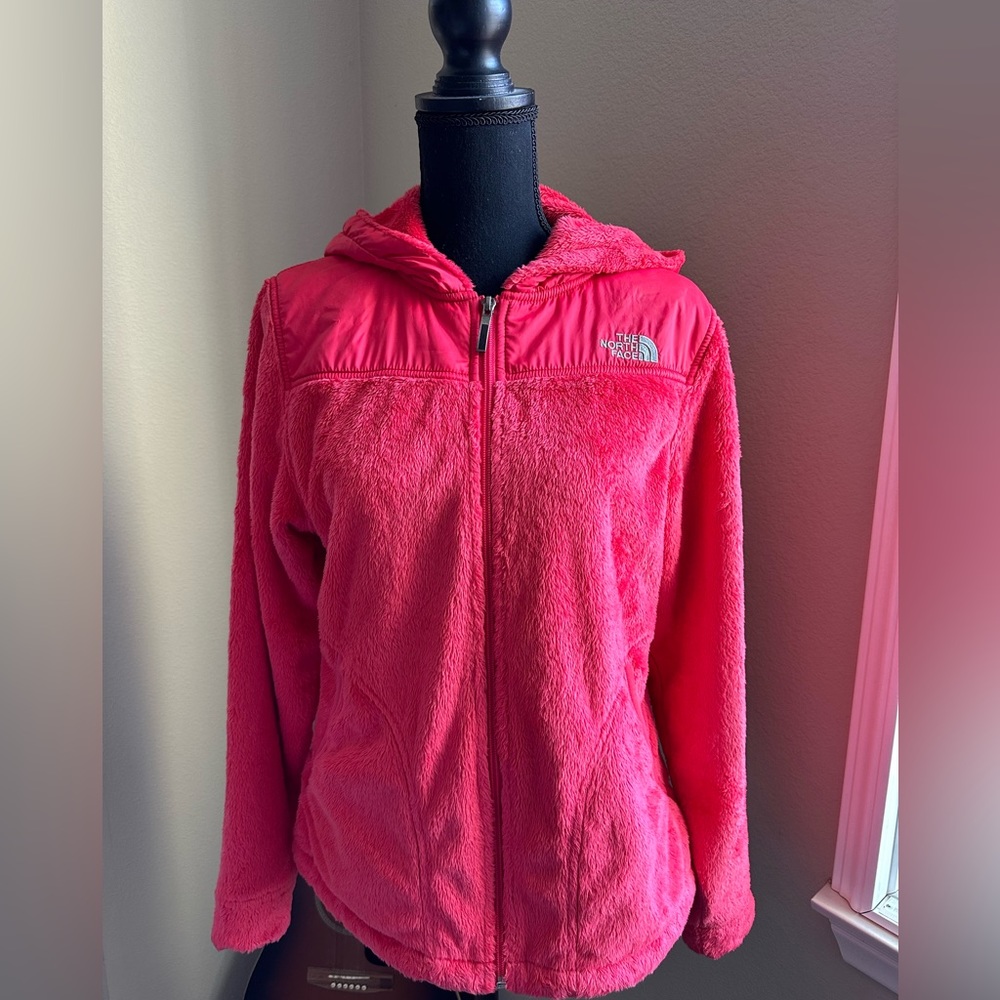 The North Face Fleece Hoodie